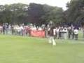 Aberdeen Clydesdale Show