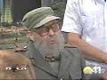 la mesa redonda elecciones