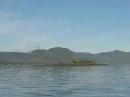 Guard Island
