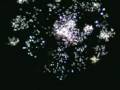videos de Fuegos Artificiales! :)