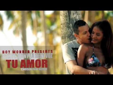 Tu Amor (Remix) ft. Jenny La Sexy Voz Nigga (Flex)