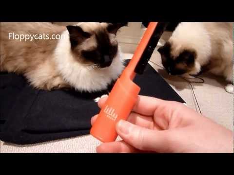 Lilly Brush Pet Hair Remover Review 0 Lilly Brush Pet Hair Remover Review