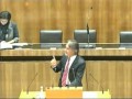Peter Westenthaler (Nationalrat am 16.11.2011) - Integration und Asyl