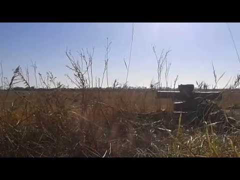 Полк "Азов" уничтожил вражеский автомобиль (видео)