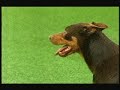 Video screenshot