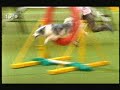 Crufts 2008 Crufts 2008