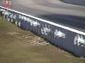 i love ricers 6.92 vs. Hang Em High Racing 6.89