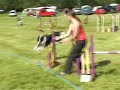 Tia agility June pt 1 Tia agility June pt 1
