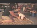 videos de Tori's First Steps	
