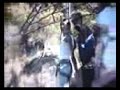 Apresentação JP- Bungy Apresentação JP- Bungy