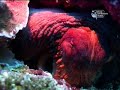 Diving Indo Part 1
