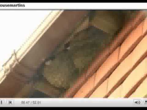 cbeebies game cbeebies game