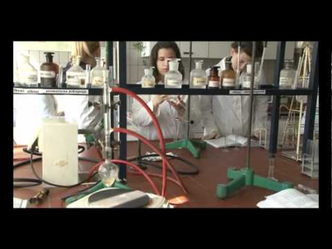 Faculty of Sciences, short video