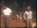 Familia de Gabriel Valias e Aparecida Valias