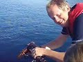Bye bye Mr Lobster