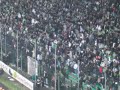 ASSE supporters in the stadium ! ASSE supporters in the stadium !