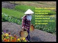Pasu Yang Retak