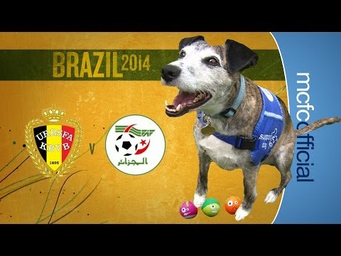 WORLD CUP PREDICTIONS | Belgium v Algeria WORLD CUP PREDICTIONS | Belgium v Algeria