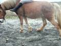 videos de jambette a cheval !