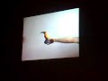 15 Quadriennale d\