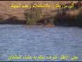 الى من يفتون بأنه لا جهاد الأبقار أشرف منكم يا علماء التسول