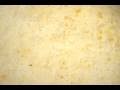 CGately_GD2264_Desperado