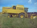 Moisson 2008 du colza avec une TX 66 Moisson 2008 du colza avec une TX 66