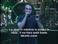 VOS SABES - (VIVO) FABULOSOS CADILLAC SUBTITULADO VOS SABES - (VIVO) FABULOSOS CADILLAC SUBTITULADO