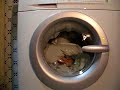 rex electrolux washing