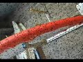 videos Surf