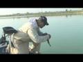 Best topwater smallie fishing