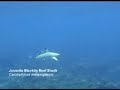 Explore Redang Island Part 2 of 2