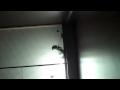Leominster: Shock Cam! Otis Hydraulic Elevator @ 27 Monument Square (Face-up)