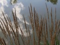 <p style="text-align: center;"><span style="font-size: small;">Konstslingan 2010</span></p>