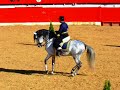 Homenaje a un equino sin igual: PRE JALEO CXXX