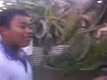 Buah NAGA Ajaib....2