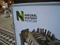 Natural History Museum Natural History Museum