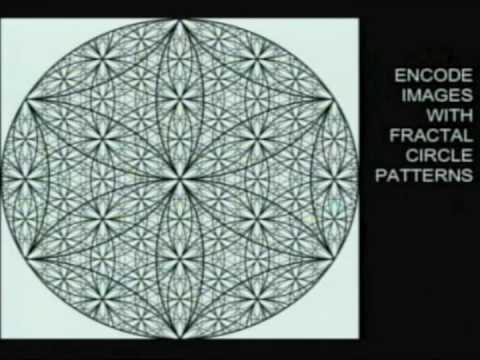 The Algorithmic Principle Behind Curiosity and Creativity