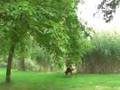 Harp improvisation on Greensleeves by Anne van Schothorst