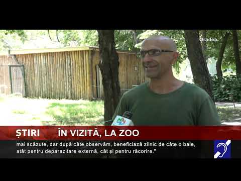 Răcoare pentru animalele de la ZOO