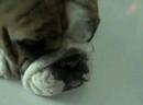 Nov 21 2007 - VID00018