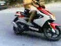niroja me yamaha 50cc niroja me yamaha 50cc