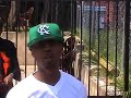 Thugtertainment/Hussein Fatal Business
