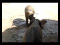 This is a video that the user has chosen on youtube