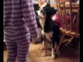 Bessie f�r mat