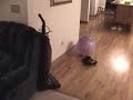 robot-using-gps-to-navigate.html