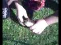 videos de scott catches fish