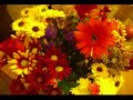 Orange Blossom  Obesity Hypnotherapy