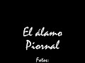 El Álamo (un olmo) - Piornal