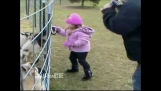 America's Funniest Home Videos - Nhung clip hai hay nhat tap 136